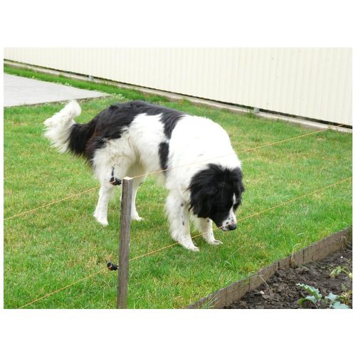 Sicra EF002, 1 Joule villanypásztor szett + NAPELEMES RENDSZER