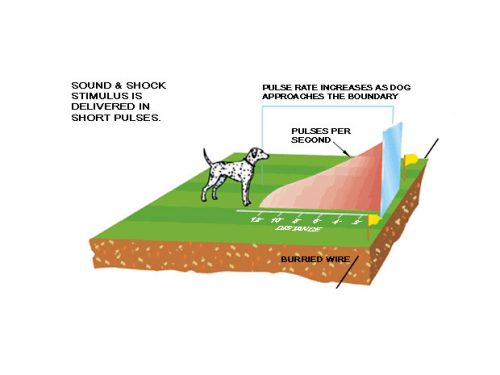 SmartDog KD660 láthatatlan kerítés, eb-őr rendszer tölthető nyakörvvel