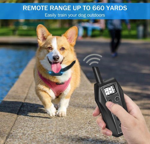 Patpet T700 távirányítós elektromos kiképző nyakörv szett 600m, tölthető