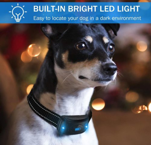 Patpet T700 távirányítós elektromos kiképző nyakörv szett 600m, tölthető